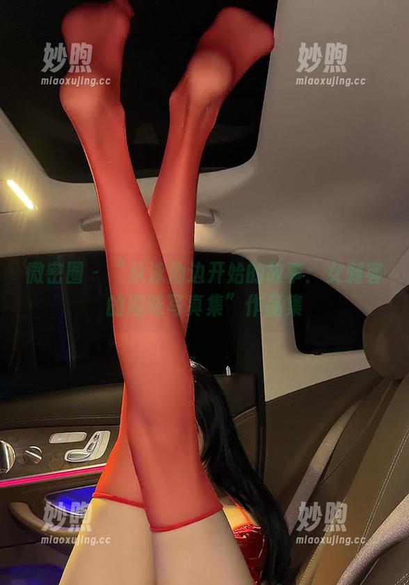 女刺客 微密圈 - “从泳池边开始的故事:女刺客的趣味写真集”作品集